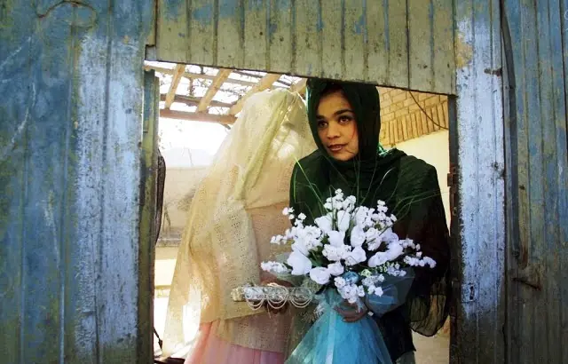 bodas