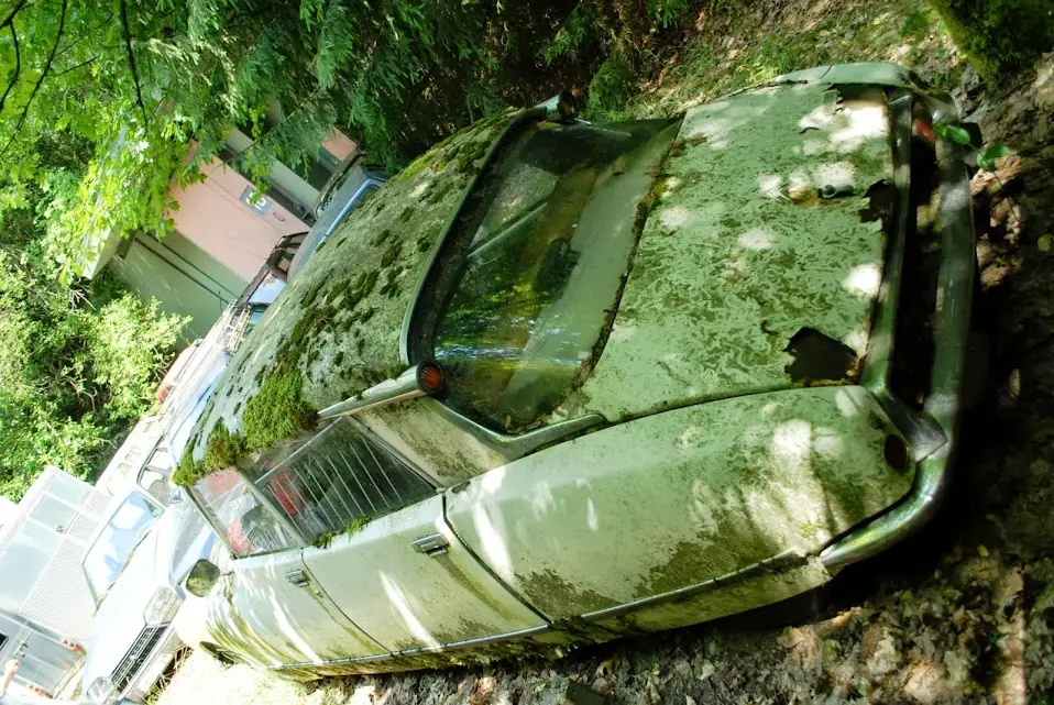 DS