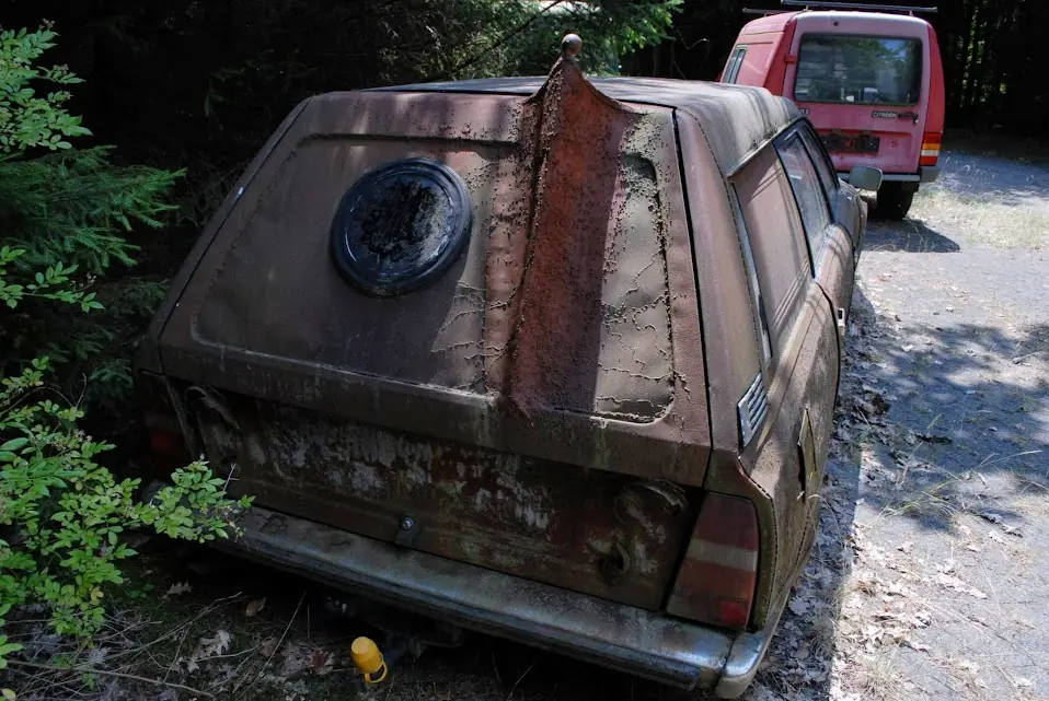 Franz Peterz y sus 130 Citroen vintage