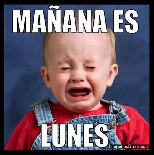 tonterias