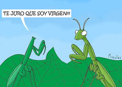 Mi humor grafico