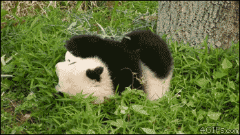 gifs para divertirse un rato