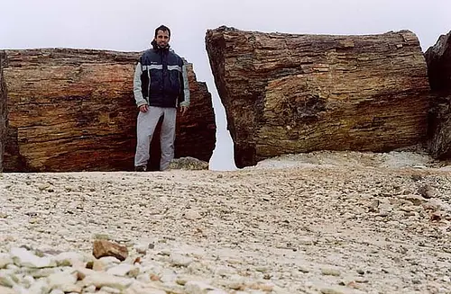 El bosque petrificado de Sarmiento, provincia de Chubut.