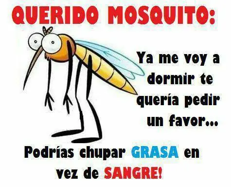 humor