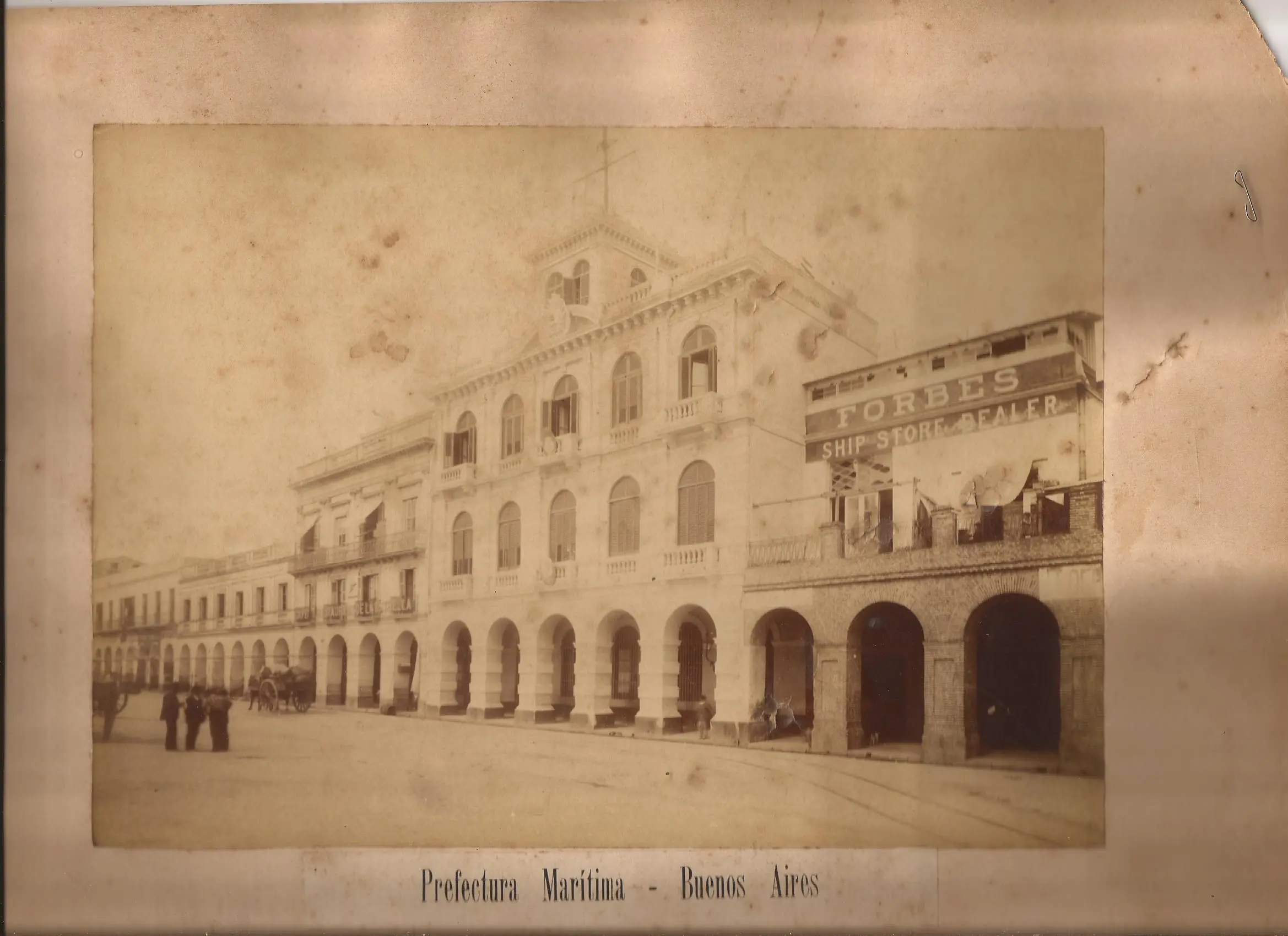 constitucion