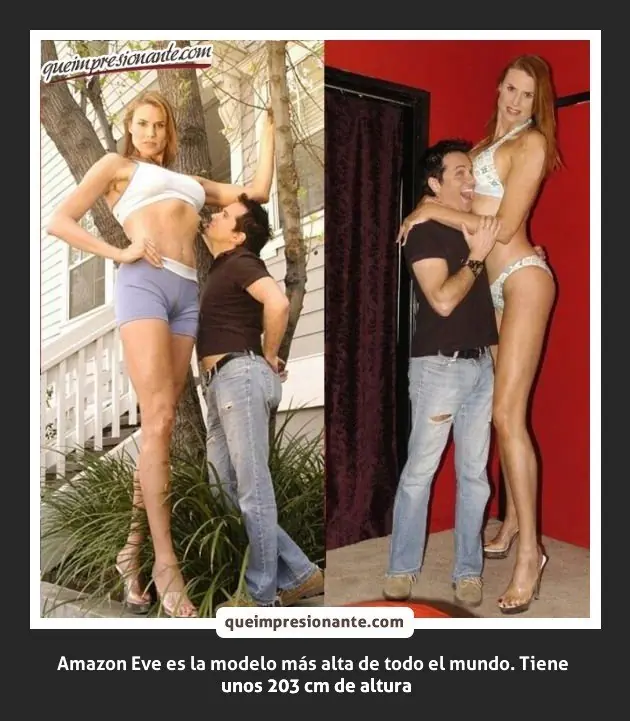 Datos curiosos que debes saber. ♂