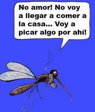 humor