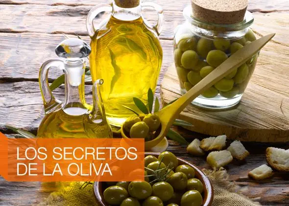Como preparar y curar aceitunas