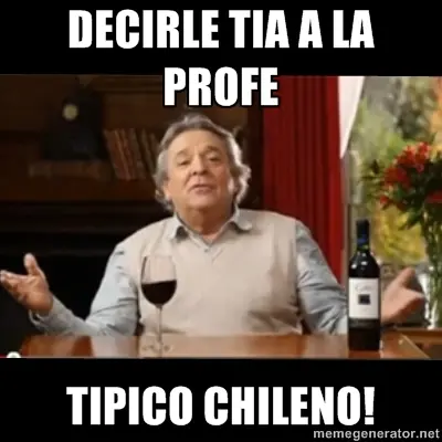 Tipico Chileno (imagenes)