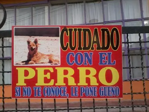 imagenes
