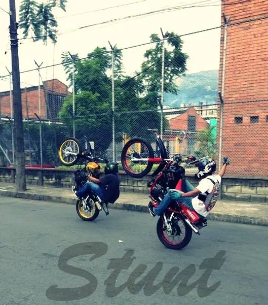 stunt