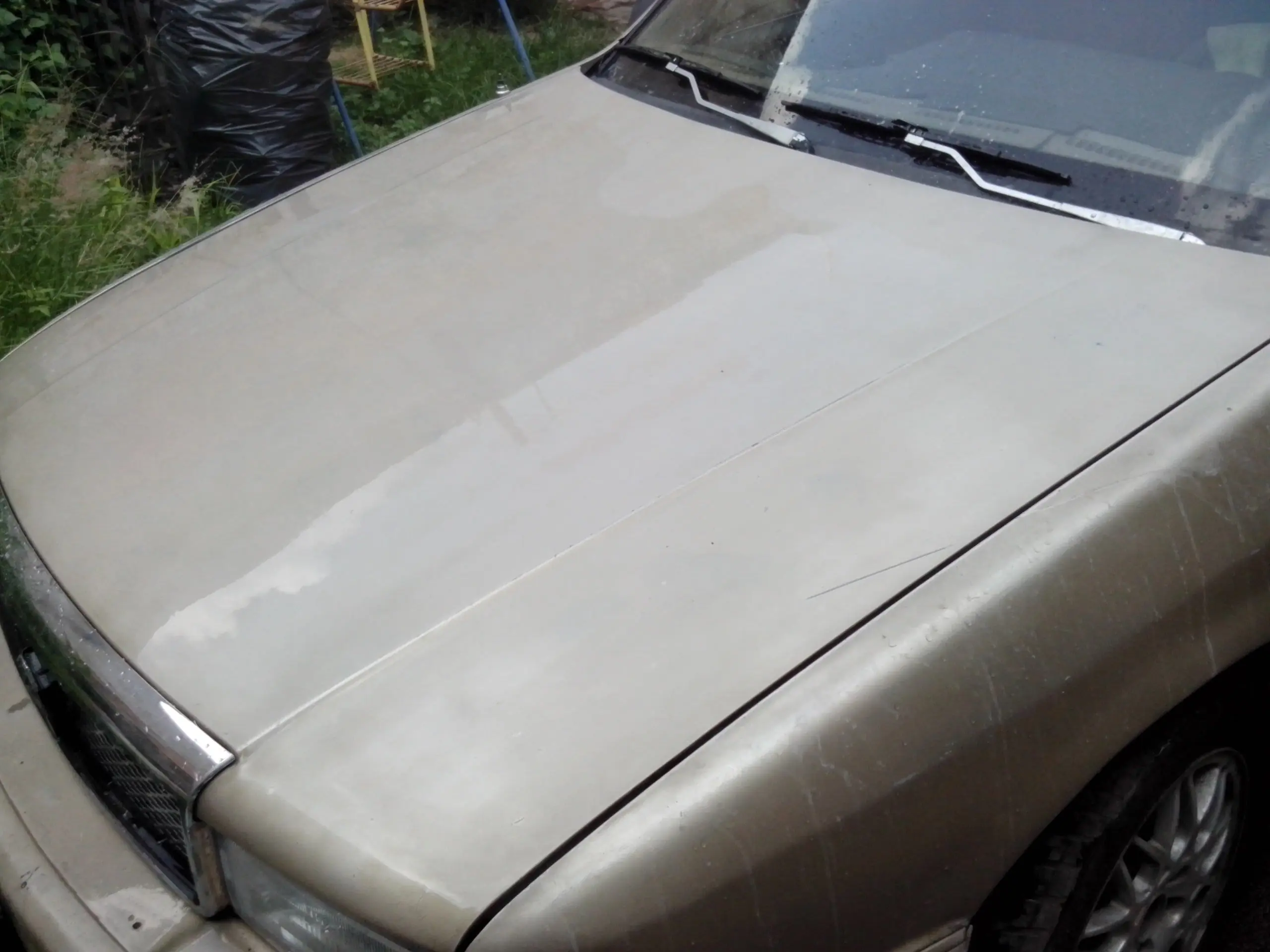 auto
