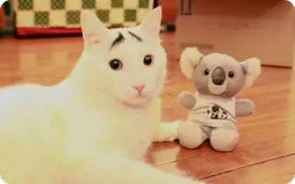 Minimos que valen ORO Gif