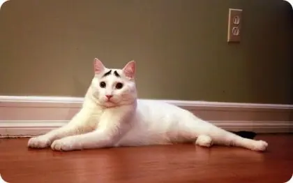 oro
