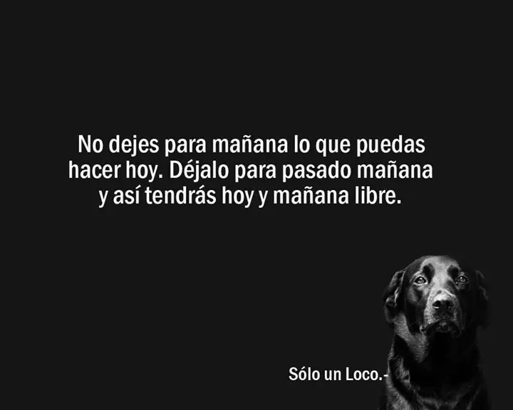 imagenes