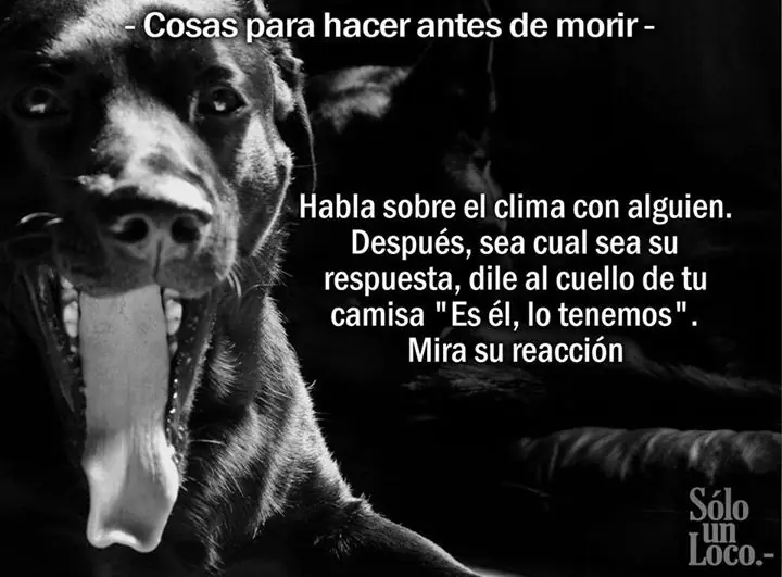imagenes