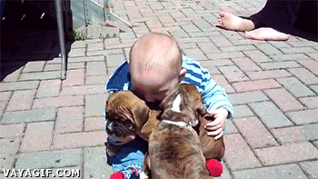 gif´s muchos para llevar