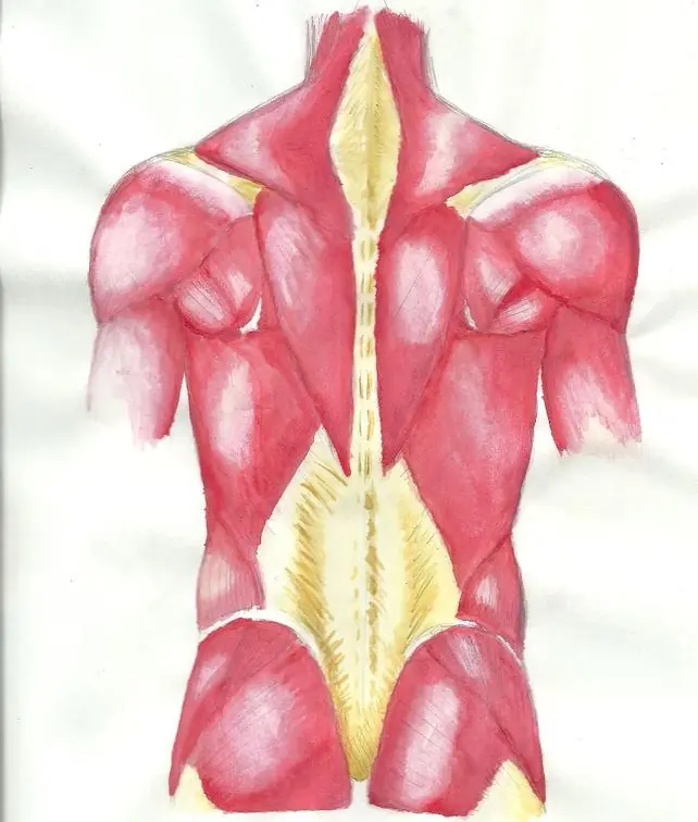crea tu mesa de dibujo