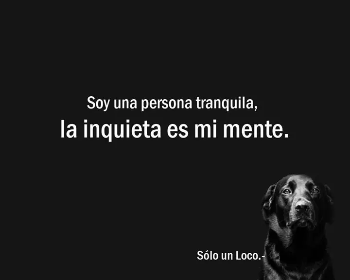 humor de loco