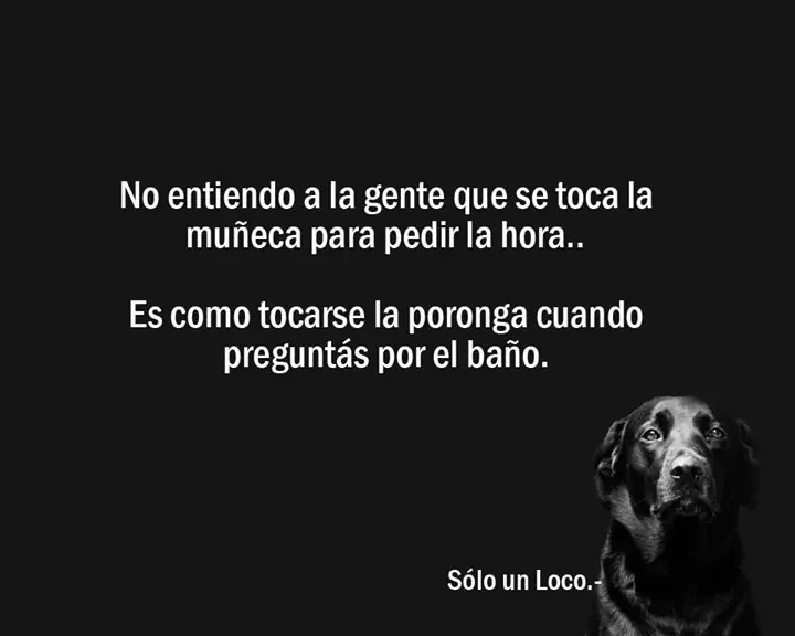 Humor de loco