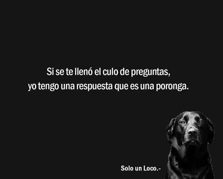 humor