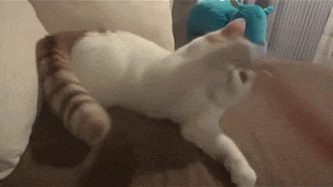 Minimos que valen ORO Gif