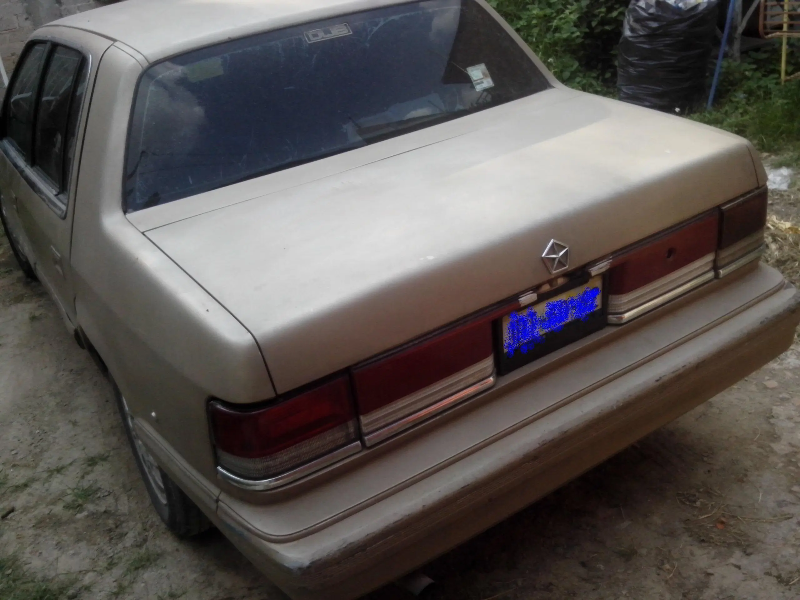 Pinte mi auto yo misma y te lo muestro