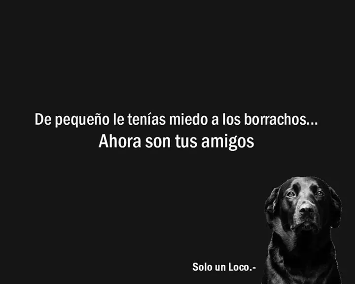 humor de loco