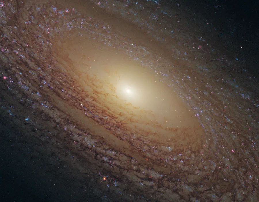 telescopio
