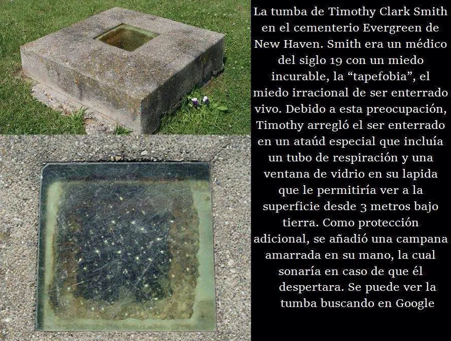 timoeo