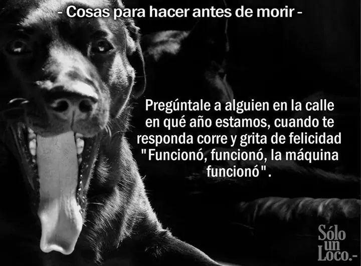 Humor de loco