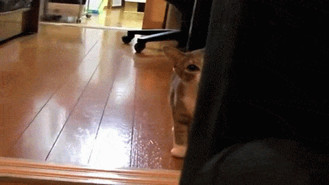 Minimos que valen ORO Gif