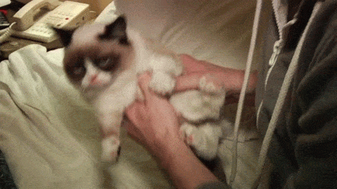 Gifs