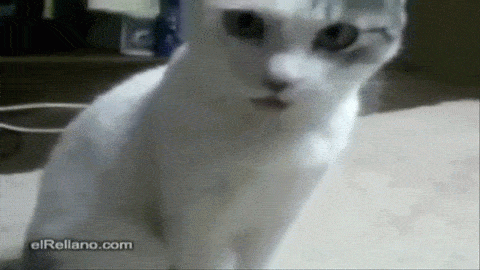 Minimos que valen ORO Gif