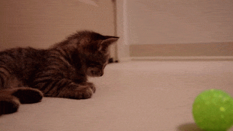 Minimos que valen ORO Gif