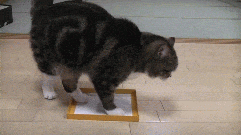 Minimos que valen ORO Gif