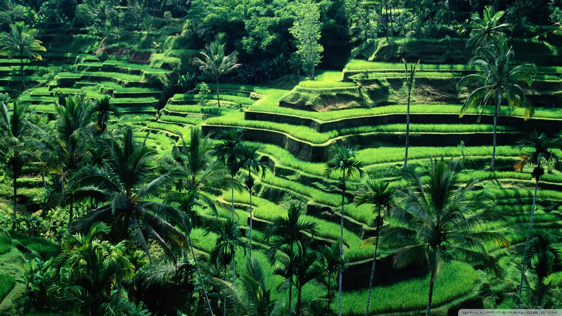 lugares turisticos
