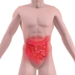 dolor de panza