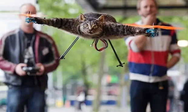 Artista convierte a su gato en helicoptero