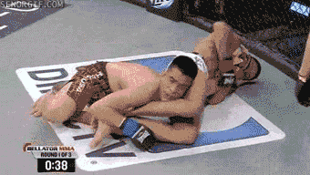 fails