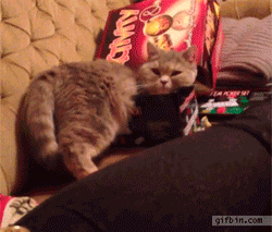 risas