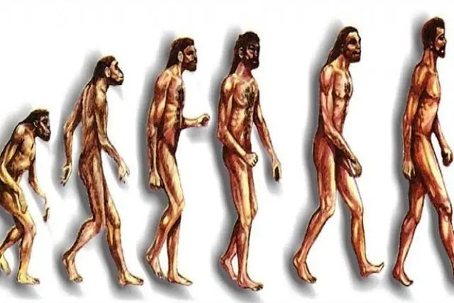 percepcion del tiempo