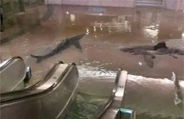 Que no hacer durante un huracan
