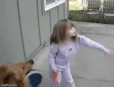 Compilado de gif WASTED! + yapa