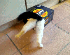 +3 si alguno te parece gracioso.