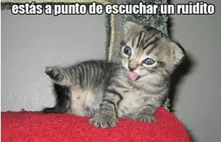 risas
