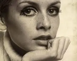 twiggy