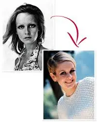 twiggy