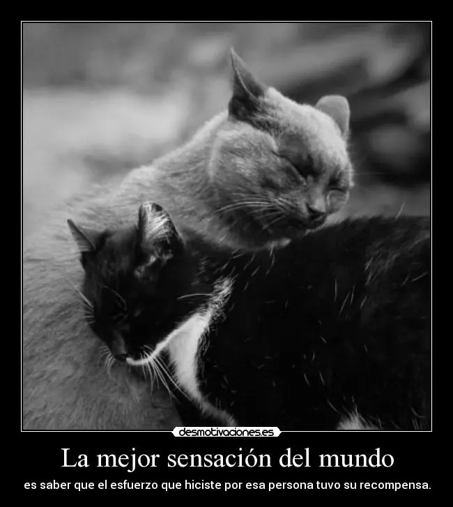 injusta