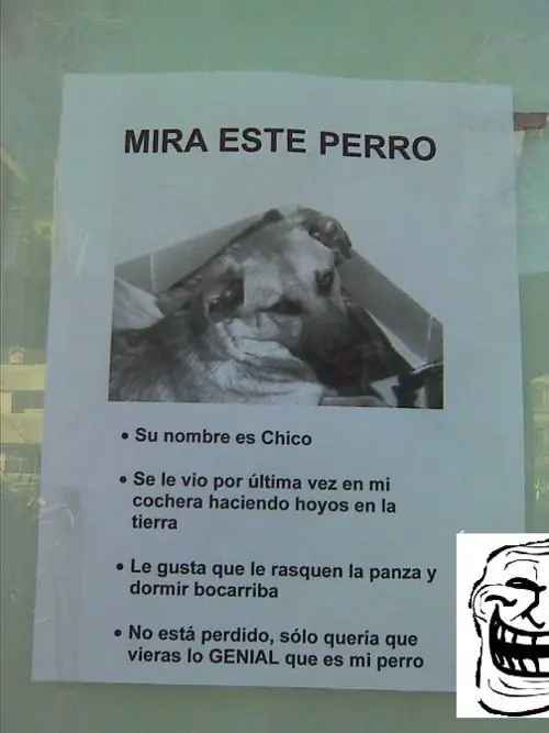 meme